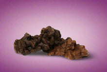 Load image into Gallery viewer, Raisin Cluster
